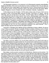 Jatakas In South Indian Art - Retail Maharaj