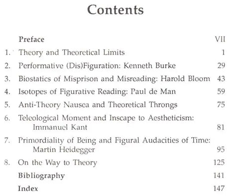 Literary Theory: Possibilites And Limits (An Old & Rare Book) - Retail Maharaj