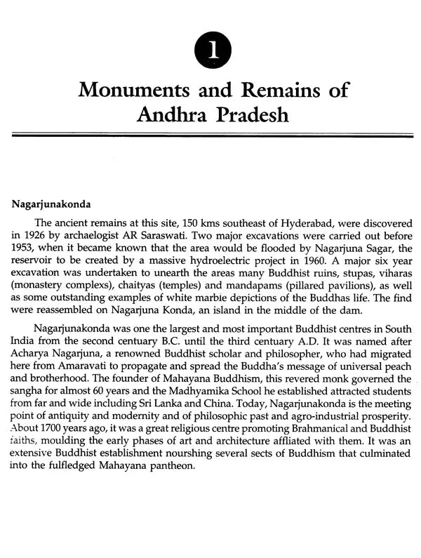 Monuments and Remains an Archaeological Journey - Retail Maharaj