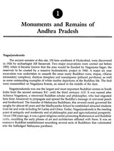 Monuments and Remains an Archaeological Journey - Retail Maharaj