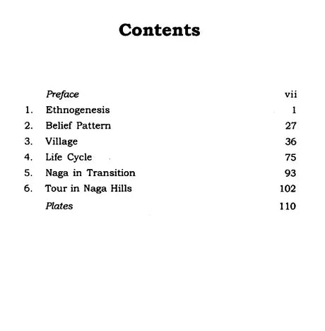 Naga Tribes of North East India - Retail Maharaj