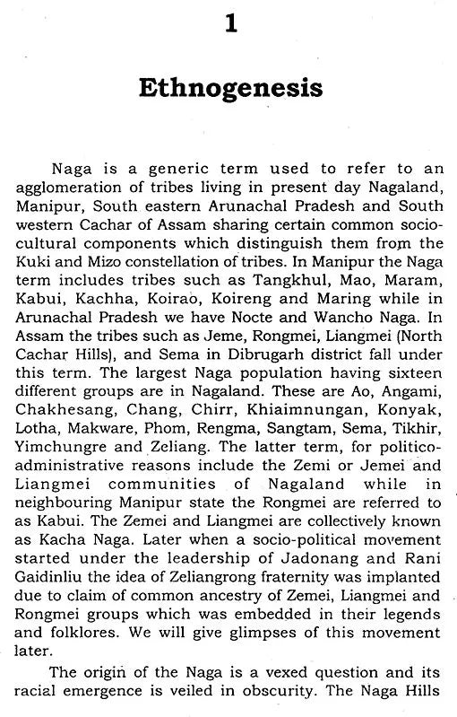 Naga Tribes of North East India - Retail Maharaj