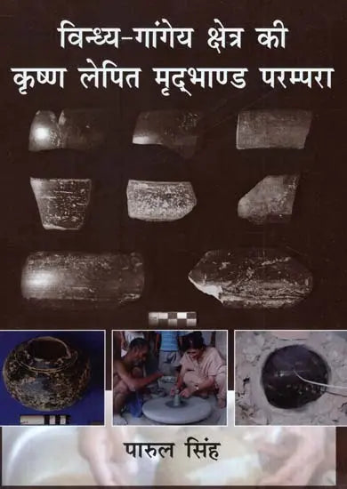 विन्ध्य गांगेय क्षेत्र की कृष्ण लेपित मृदभाण्ड परम्परा- Krishna Coated Pottery Tradition of Vindhya Gangetic Region - Retail Maharaj