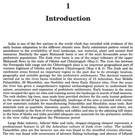Prehistoric Archaeology In Central - Eastern India - Jonk River - Retail Maharaj
