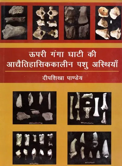ऊपरी गंगा घाटी की आद्यैतिहासिककालीन पशु अस्थियाँ: Prehistoric Animal Bones of Upper Ganges Valley - Retail Maharaj