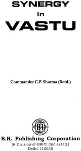 Synergy in Vastu - Retail Maharaj