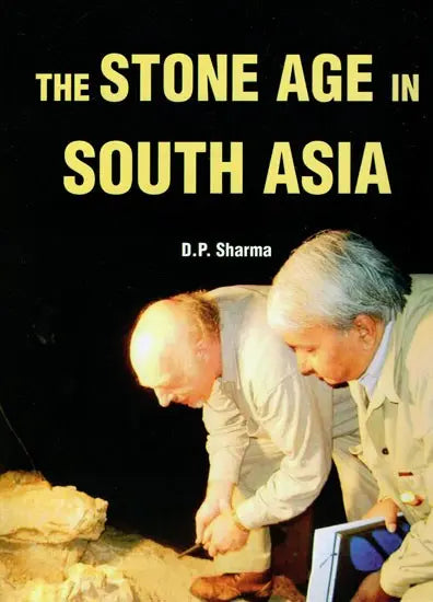 The Stone Age in South Asia - Retail Maharaj