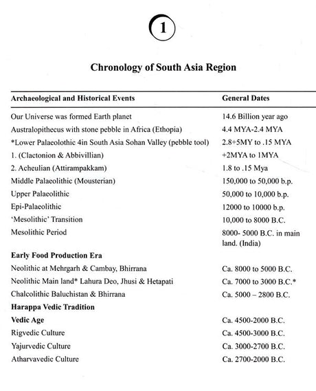 The Stone Age in South Asia - Retail Maharaj