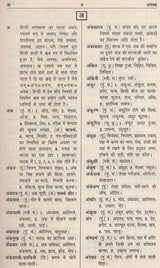 आधुनिक हिंदी शब्दकोश / Aadhunik Hindi Shabdkosh - Retail Maharaj