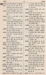 आधुनिक हिंदी शब्दकोश / Aadhunik Hindi Shabdkosh - Retail Maharaj