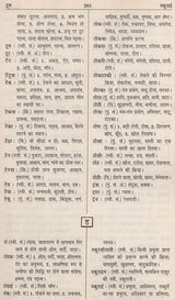 आधुनिक हिंदी शब्दकोश / Aadhunik Hindi Shabdkosh - Retail Maharaj