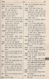 आधुनिक हिंदी शब्दकोश / Aadhunik Hindi Shabdkosh - Retail Maharaj