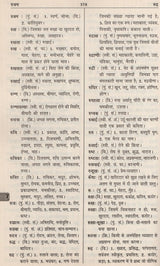 आधुनिक हिंदी शब्दकोश / Aadhunik Hindi Shabdkosh - Retail Maharaj