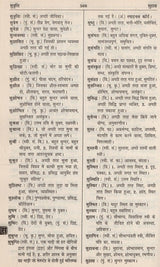 आधुनिक हिंदी शब्दकोश / Aadhunik Hindi Shabdkosh - Retail Maharaj