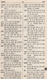 आधुनिक हिंदी शब्दकोश / Aadhunik Hindi Shabdkosh - Retail Maharaj