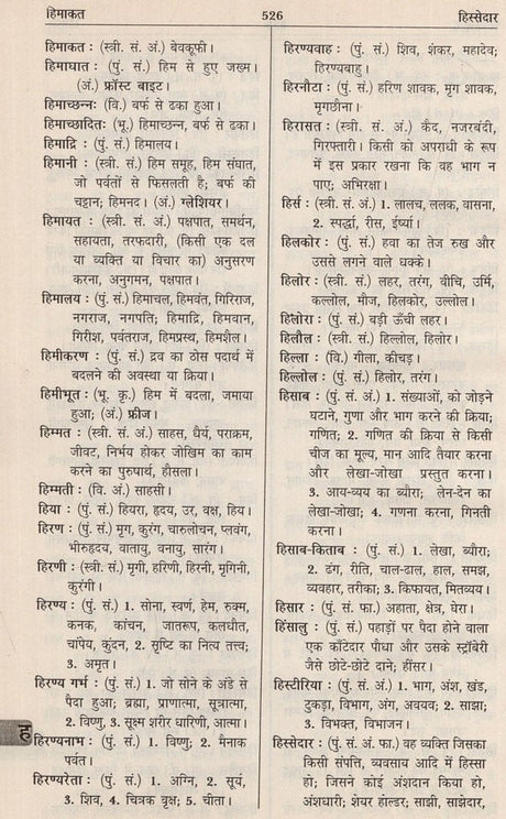 आधुनिक हिंदी शब्दकोश / Aadhunik Hindi Shabdkosh - Retail Maharaj