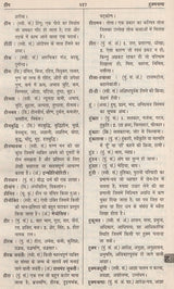 आधुनिक हिंदी शब्दकोश / Aadhunik Hindi Shabdkosh - Retail Maharaj