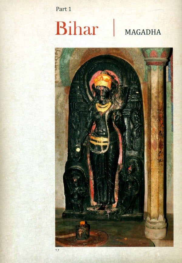 Reenchantment- Masterworks of Sculpture in Village Temples of Bihar and Orissa - Retail Maharaj