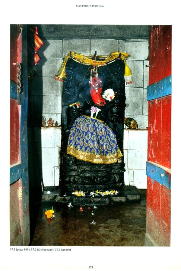 Reenchantment- Masterworks of Sculpture in Village Temples of Bihar and Orissa - Retail Maharaj