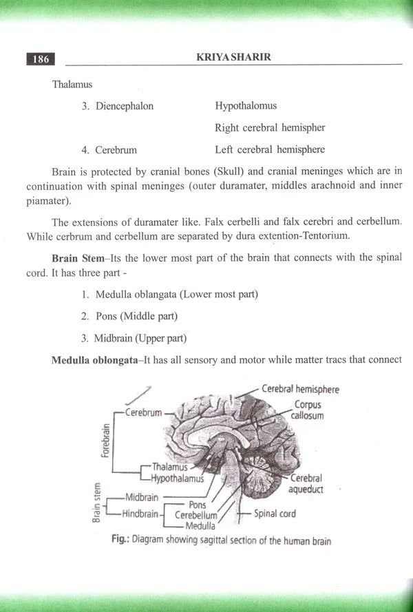 Kriya Sharir Paper-1: Questions and Answers (According to NCISM Syllabus) - Retail Maharaj