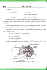 Kriya Sharir Paper-1: Questions and Answers (According to NCISM Syllabus) - Retail Maharaj