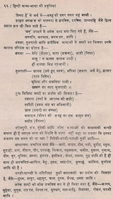 हिन्दी काव्य भाषा की प्रवृत्तियां: Hindi Poetic Language Trends - Retail Maharaj