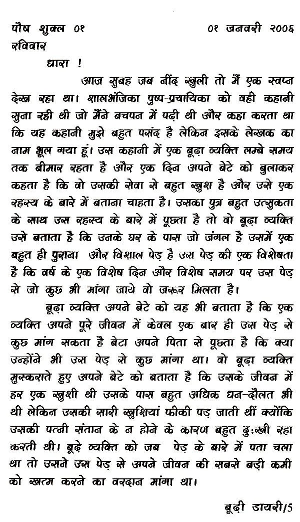 बूढ़ी डायरी: Budhi Diary (Novel) - Retail Maharaj