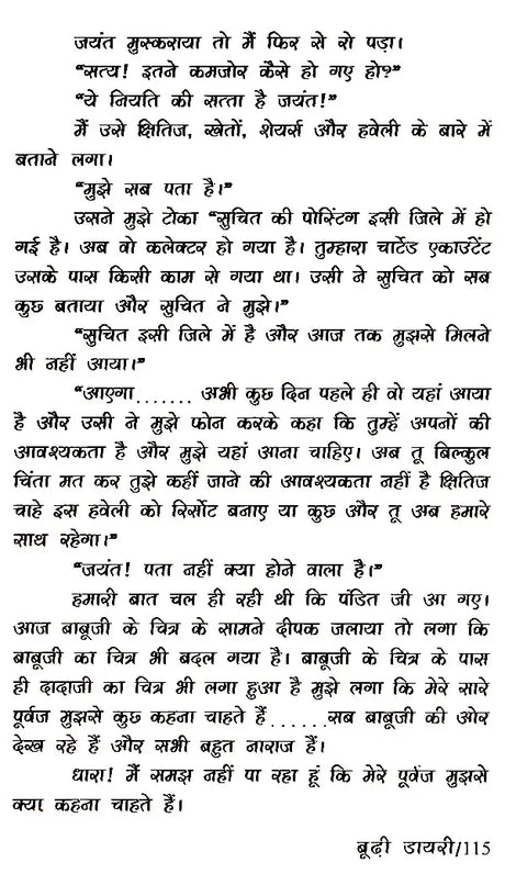 बूढ़ी डायरी: Budhi Diary (Novel) - Retail Maharaj