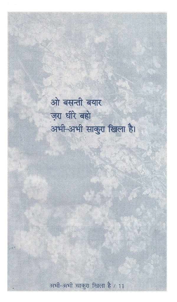 अभी-अभी साकुरा खिला है: Abhi- Abhi Sakura Khila Hain - Retail Maharaj