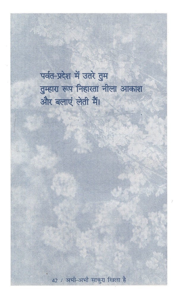 अभी-अभी साकुरा खिला है: Abhi- Abhi Sakura Khila Hain - Retail Maharaj