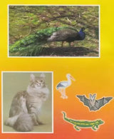 Ullu Tantra Kauwa Tantra aur Pashu - Pakshi Tantra [Hindi] - Retail Maharaj