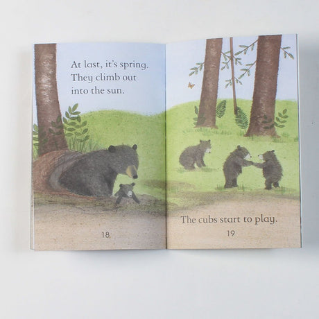Bears (First Reading Level 2) [Paperback] Sarah Courtauld - Retail Maharaj