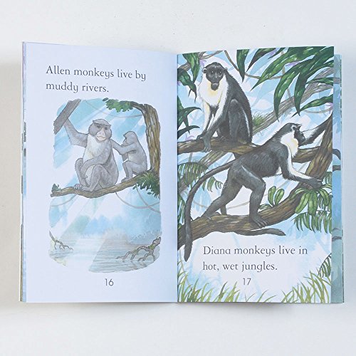 Monkeys - Level 3 (Usborne First Reading) [Paperback] Sarah Courtauld - Retail Maharaj