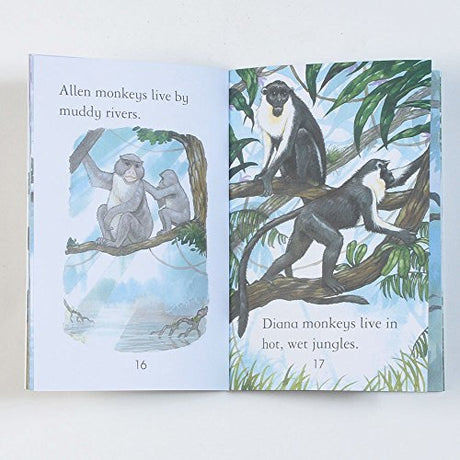 Monkeys - Level 3 (Usborne First Reading) [Paperback] Sarah Courtauld - Retail Maharaj