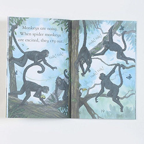 Monkeys - Level 3 (Usborne First Reading) [Paperback] Sarah Courtauld - Retail Maharaj