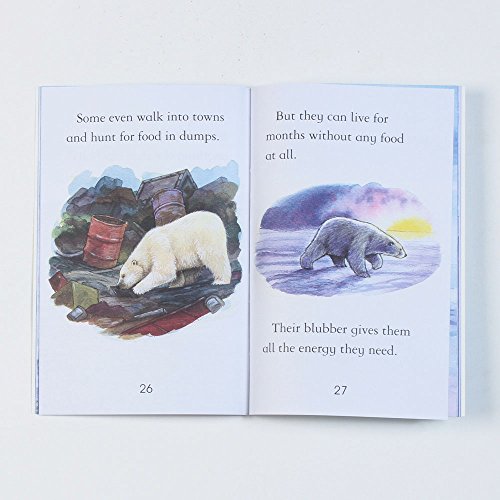 Polar Bears - Level 4 (Usborne First Reading) [Paperback] Rosie Dickins - Retail Maharaj