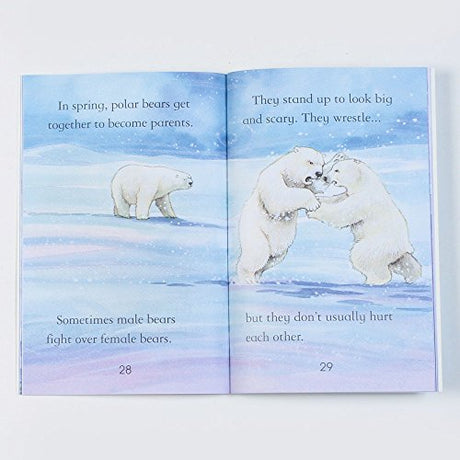 Polar Bears - Level 4 (Usborne First Reading) [Paperback] Rosie Dickins - Retail Maharaj