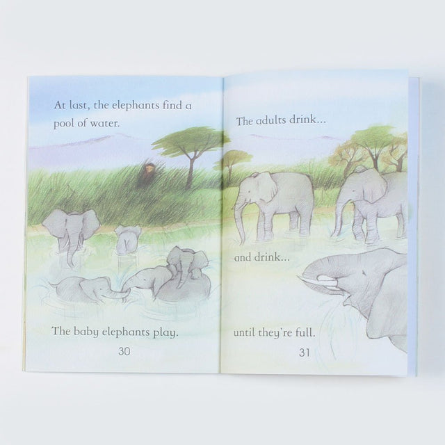 Elephants (First Reading Level 4) [Paperback] Kate Davies - Retail Maharaj