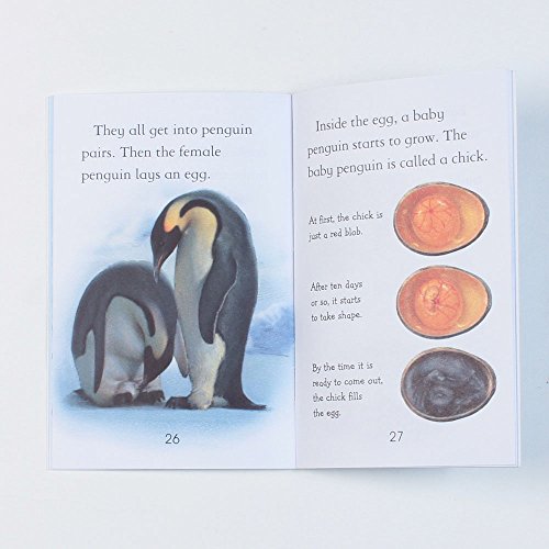 Penguins - Level 4 (Usborne First Reading) [Paperback] Susanna Davidson - Retail Maharaj