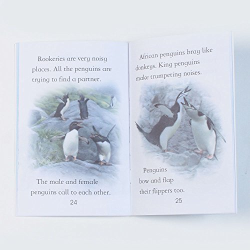 Penguins - Level 4 (Usborne First Reading) [Paperback] Susanna Davidson - Retail Maharaj