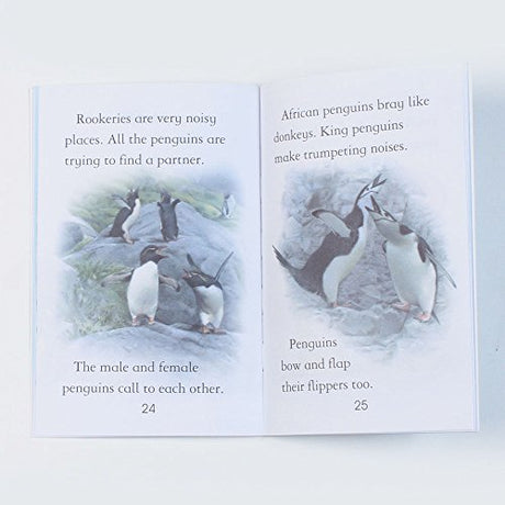 Penguins - Level 4 (Usborne First Reading) [Paperback] Susanna Davidson - Retail Maharaj