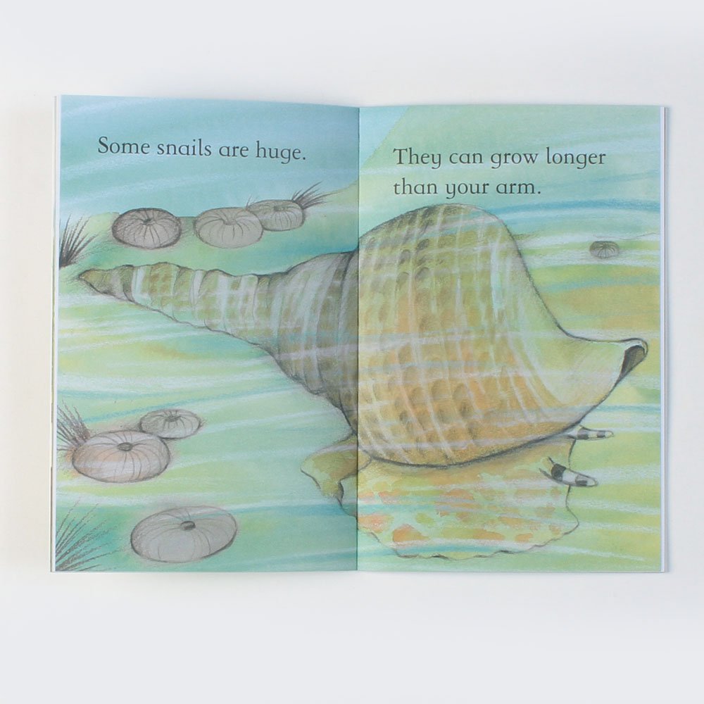 Snails (First Reading Level 2) [Paperback] Susanna Davidson - Retail Maharaj