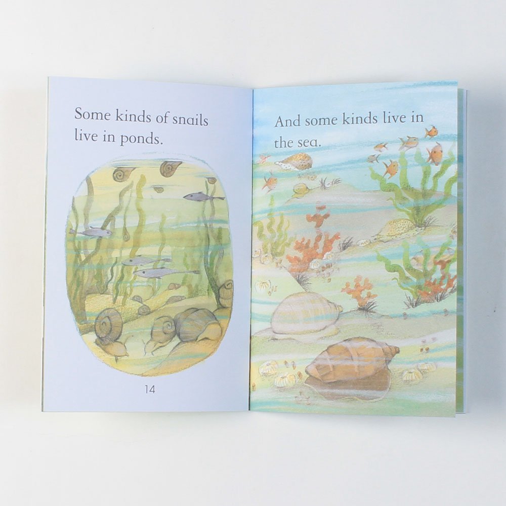 Snails (First Reading Level 2) [Paperback] Susanna Davidson - Retail Maharaj