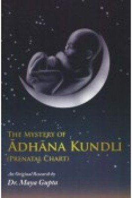 The Mystery of Adhana Kundli: Prenatal Chart - Retail Maharaj