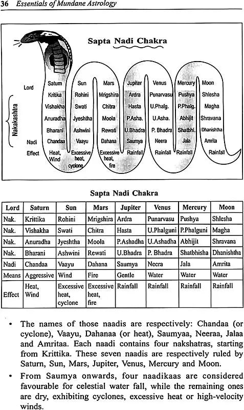 Essentials Of Mundane Astrology (English) (Paperback) [Paperback] Dr Suresh Chandra Mishra - Retail Maharaj