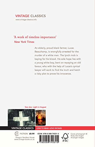 Intruder In The Dust - Retail Maharaj