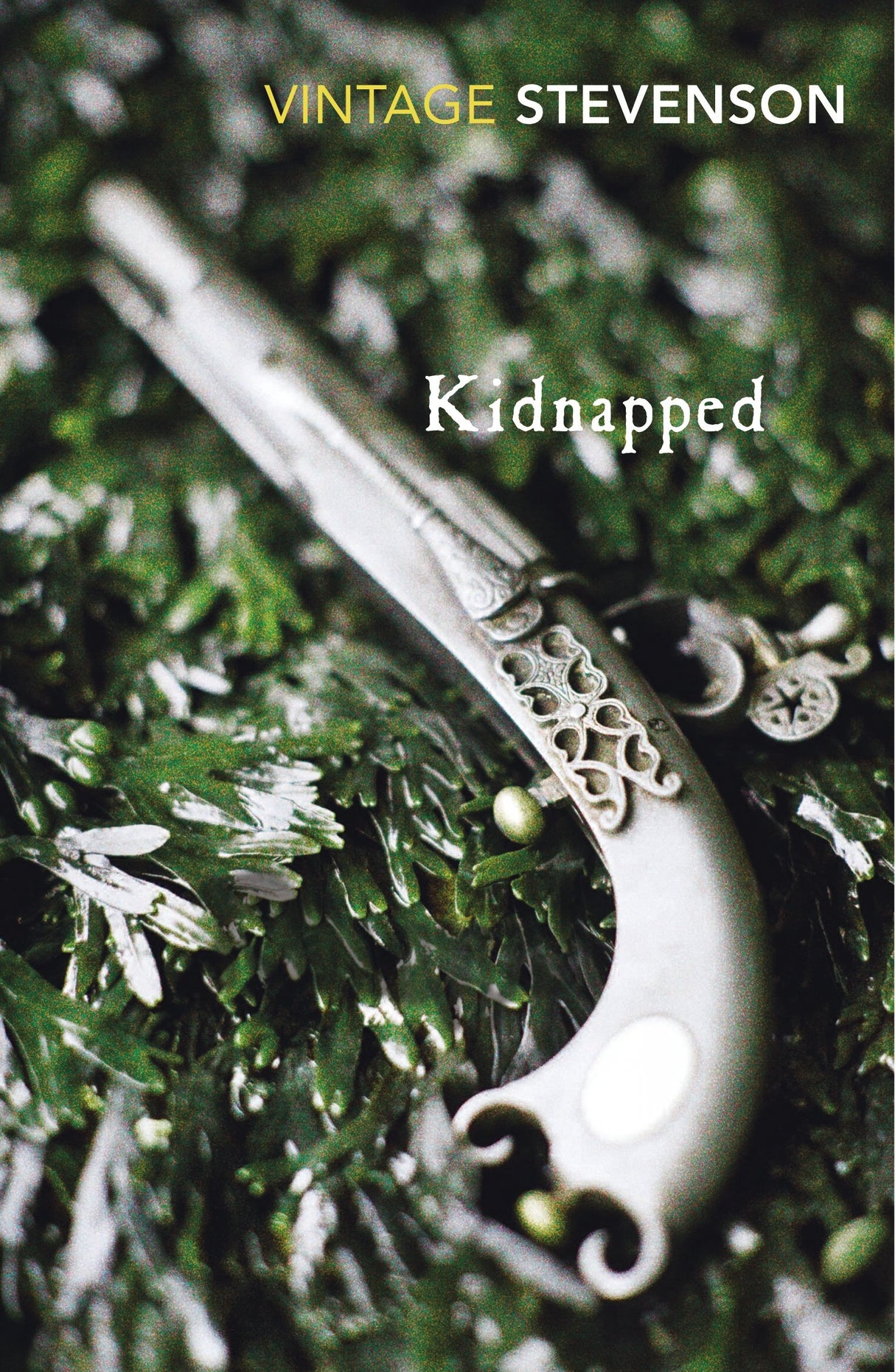 Kidnapped (Vintage Classics) - Retail Maharaj