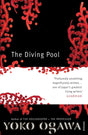 The Diving Pool - Retail Maharaj