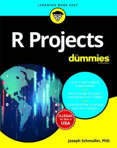 R Projects For Dummies - Retail Maharaj